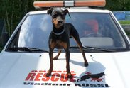Logo: Animal rescue - Odchytová služba a útulek