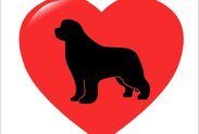 Logo: Novofundlandský pes v nouzi