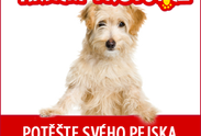 Logo: Hračky-propsy.cz