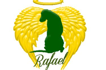 Logo RAFAEL
