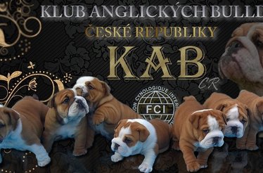  KAB ČR Klub anglických bulldogů České republiky