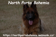 Logo: North Porta Bohemia