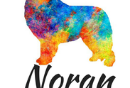 Logo: www.noran-eshop.cz