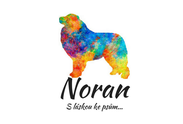 Logo: Noran.cz