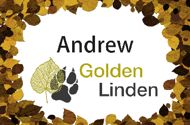  Golden Linden