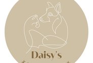 Logo: Daisy’s pet grooming | Stříhání psu | Psi salon