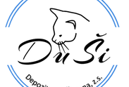 Logo: Depozitum u Šimona