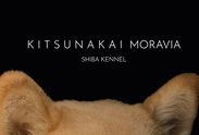 Logo: Kitsunakai Moravia