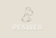 Logo: Pesklub.cz
